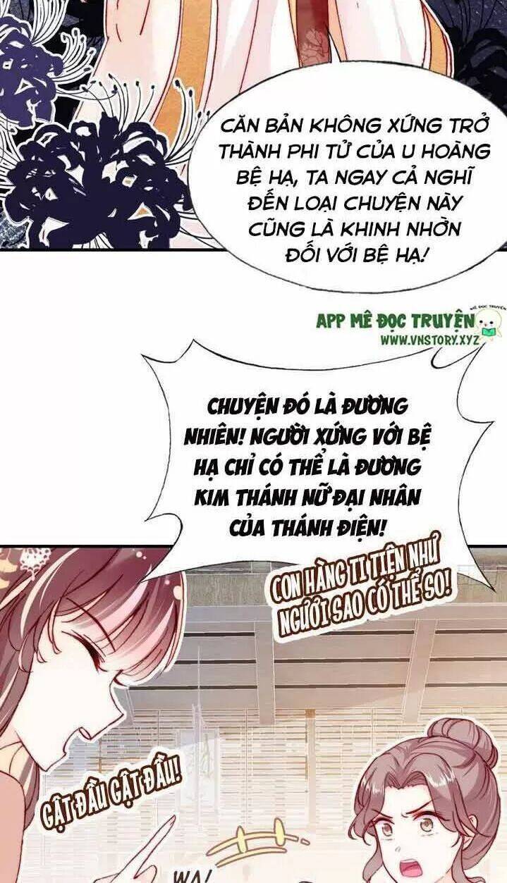 Lại Bị Bệnh Chiều Chuộng Quấn Lấy Chapter 7 - Trang 2