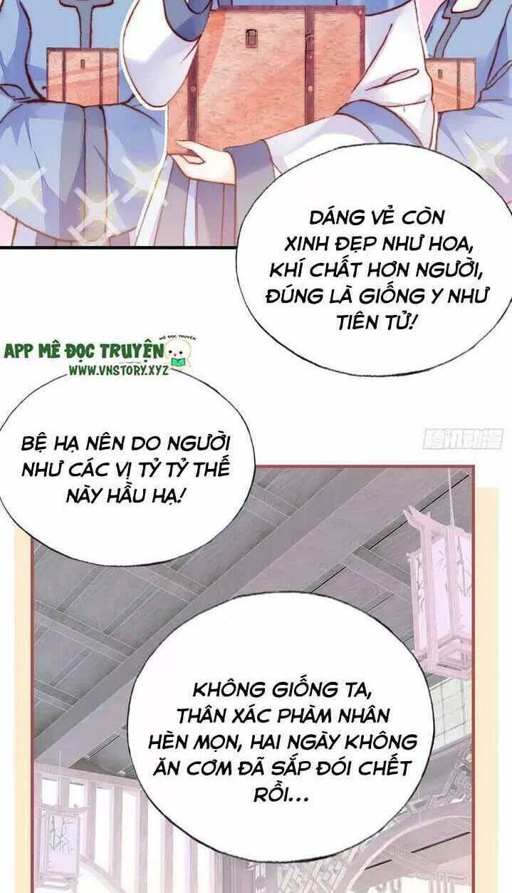 Lại Bị Bệnh Chiều Chuộng Quấn Lấy Chapter 7 - Trang 2