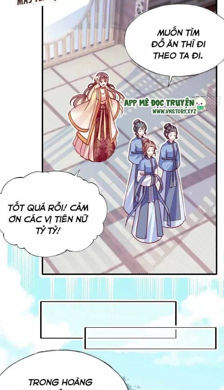 Lại Bị Bệnh Chiều Chuộng Quấn Lấy Chapter 7 - Trang 2