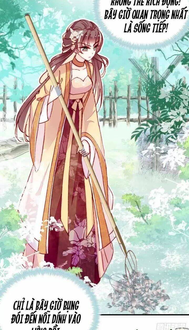 Lại Bị Bệnh Chiều Chuộng Quấn Lấy Chapter 7 - Trang 2