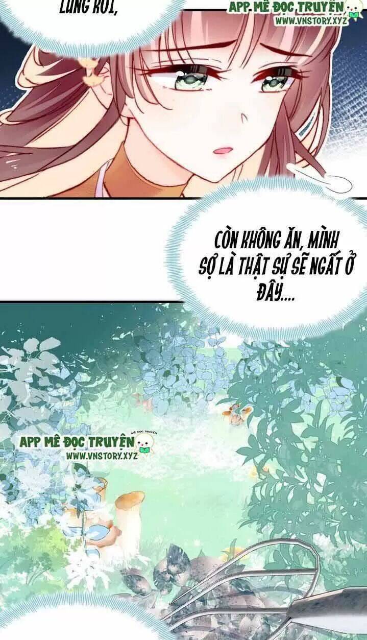 Lại Bị Bệnh Chiều Chuộng Quấn Lấy Chapter 7 - Trang 2