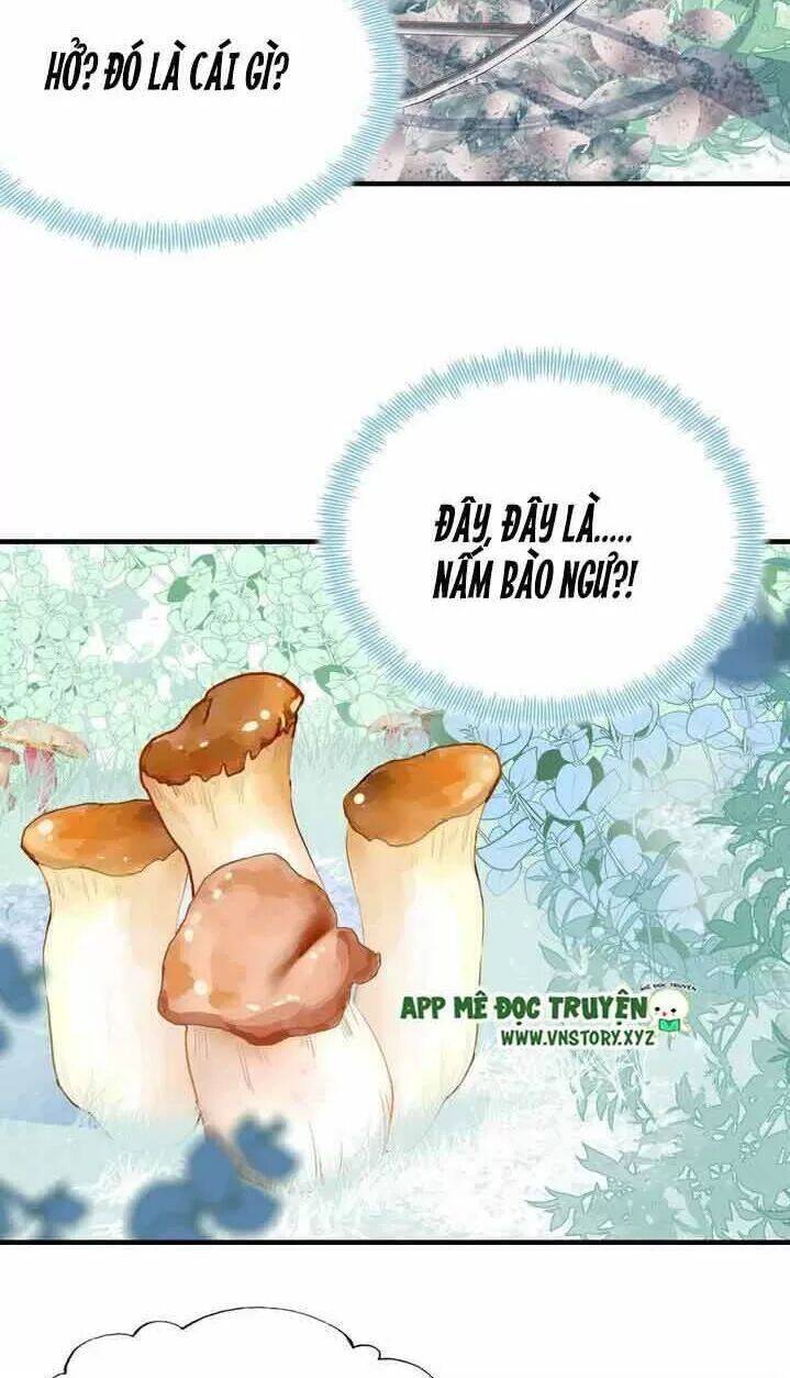 Lại Bị Bệnh Chiều Chuộng Quấn Lấy Chapter 7 - Trang 2