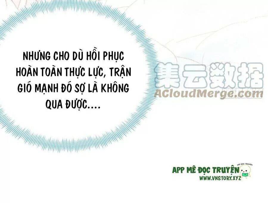 Lại Bị Bệnh Chiều Chuộng Quấn Lấy Chapter 70 - Trang 2