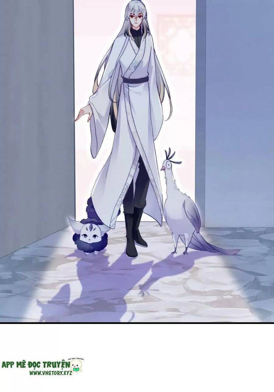 Lại Bị Bệnh Chiều Chuộng Quấn Lấy Chapter 71 - Trang 2