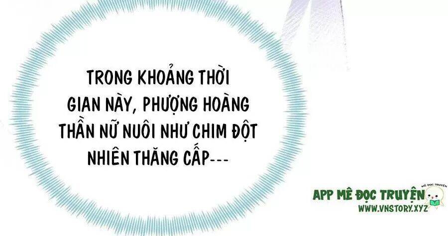 Lại Bị Bệnh Chiều Chuộng Quấn Lấy Chapter 71 - Trang 2