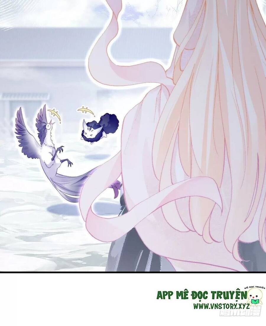 Lại Bị Bệnh Chiều Chuộng Quấn Lấy Chapter 72 - Trang 2