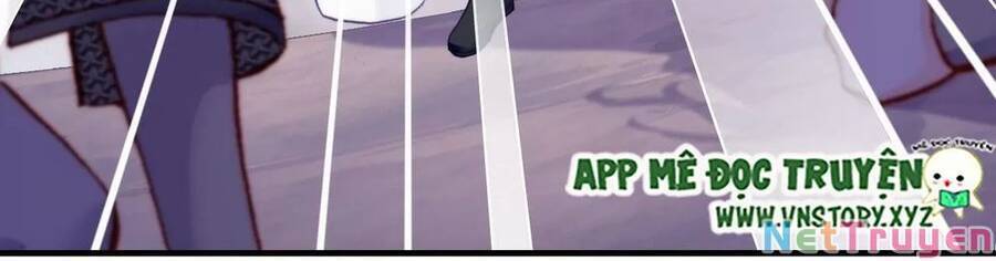 Lại Bị Bệnh Chiều Chuộng Quấn Lấy Chapter 73 - Trang 2