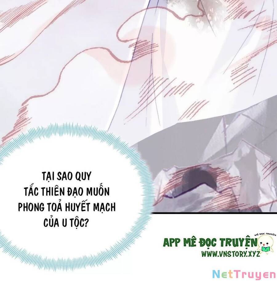 Lại Bị Bệnh Chiều Chuộng Quấn Lấy Chapter 73 - Trang 2