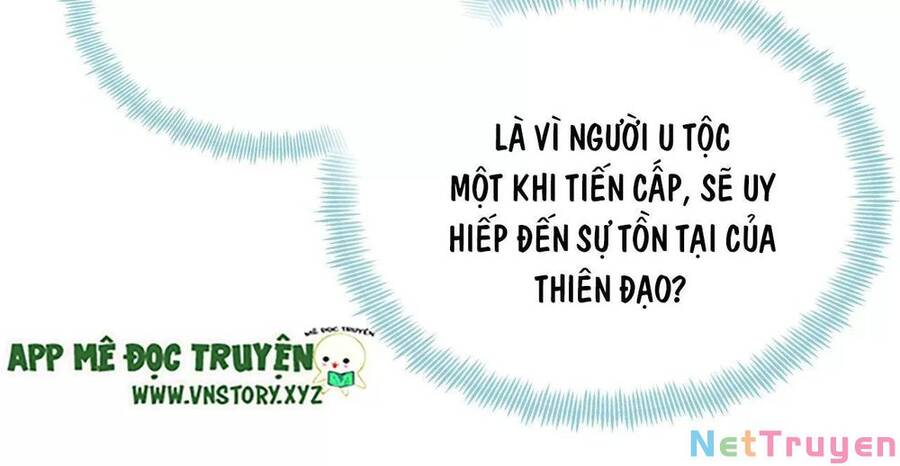 Lại Bị Bệnh Chiều Chuộng Quấn Lấy Chapter 73 - Trang 2