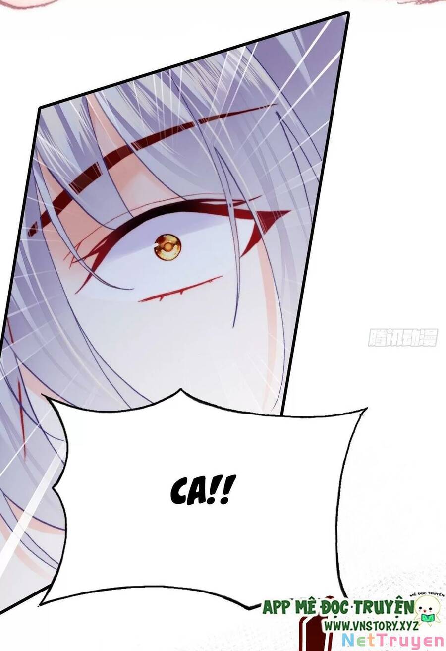Lại Bị Bệnh Chiều Chuộng Quấn Lấy Chapter 73 - Trang 2