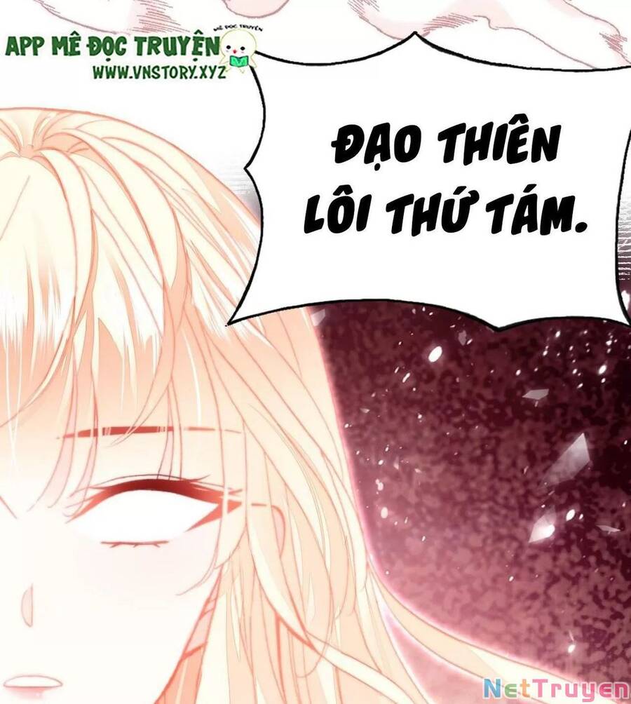 Lại Bị Bệnh Chiều Chuộng Quấn Lấy Chapter 73 - Trang 2