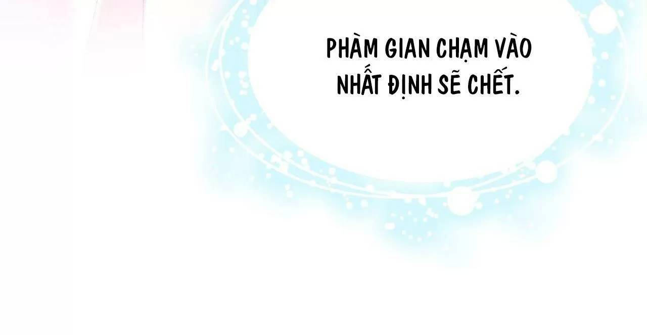 Lại Bị Bệnh Chiều Chuộng Quấn Lấy Chapter 74 - Trang 2