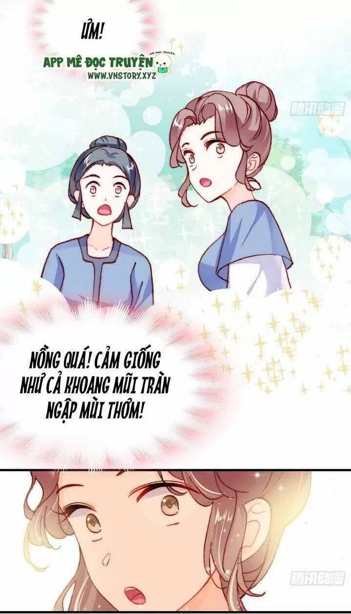 Lại Bị Bệnh Chiều Chuộng Quấn Lấy Chapter 8 - Trang 2