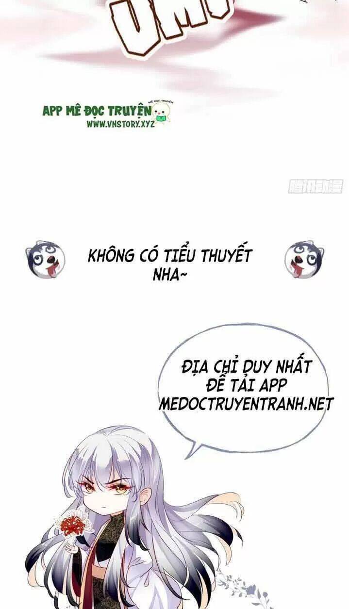 Lại Bị Bệnh Chiều Chuộng Quấn Lấy Chapter 8 - Trang 2