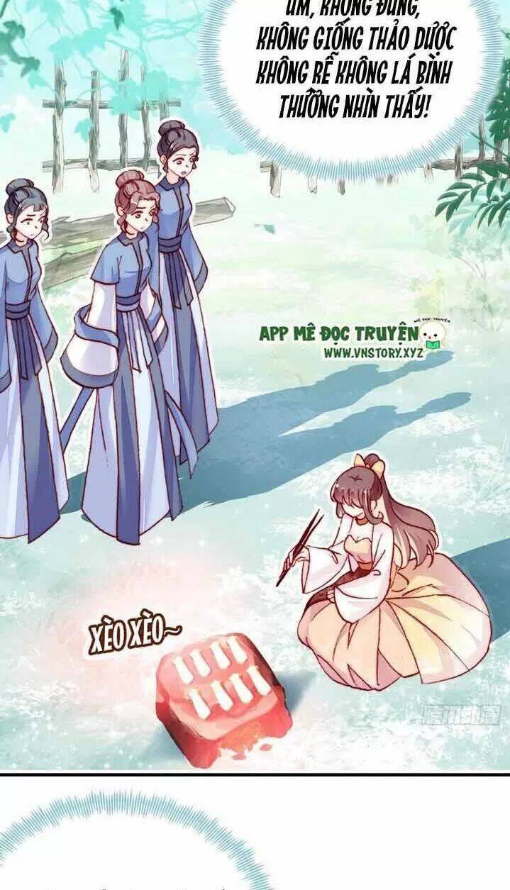 Lại Bị Bệnh Chiều Chuộng Quấn Lấy Chapter 8 - Trang 2