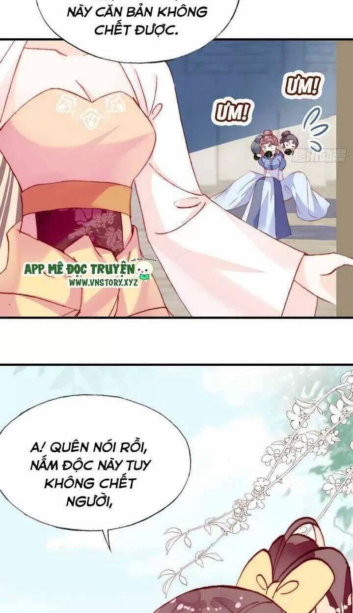 Lại Bị Bệnh Chiều Chuộng Quấn Lấy Chapter 9 - Trang 2