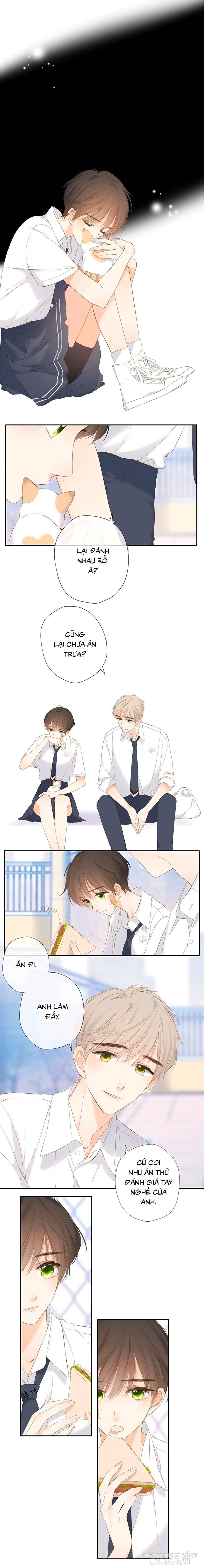 Lại Gặp Được Em Chapter 42 - Trang 2