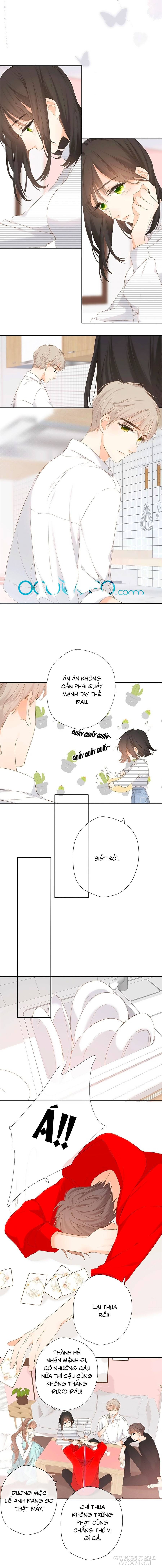 Lại Gặp Được Em Chapter 42 - Trang 2