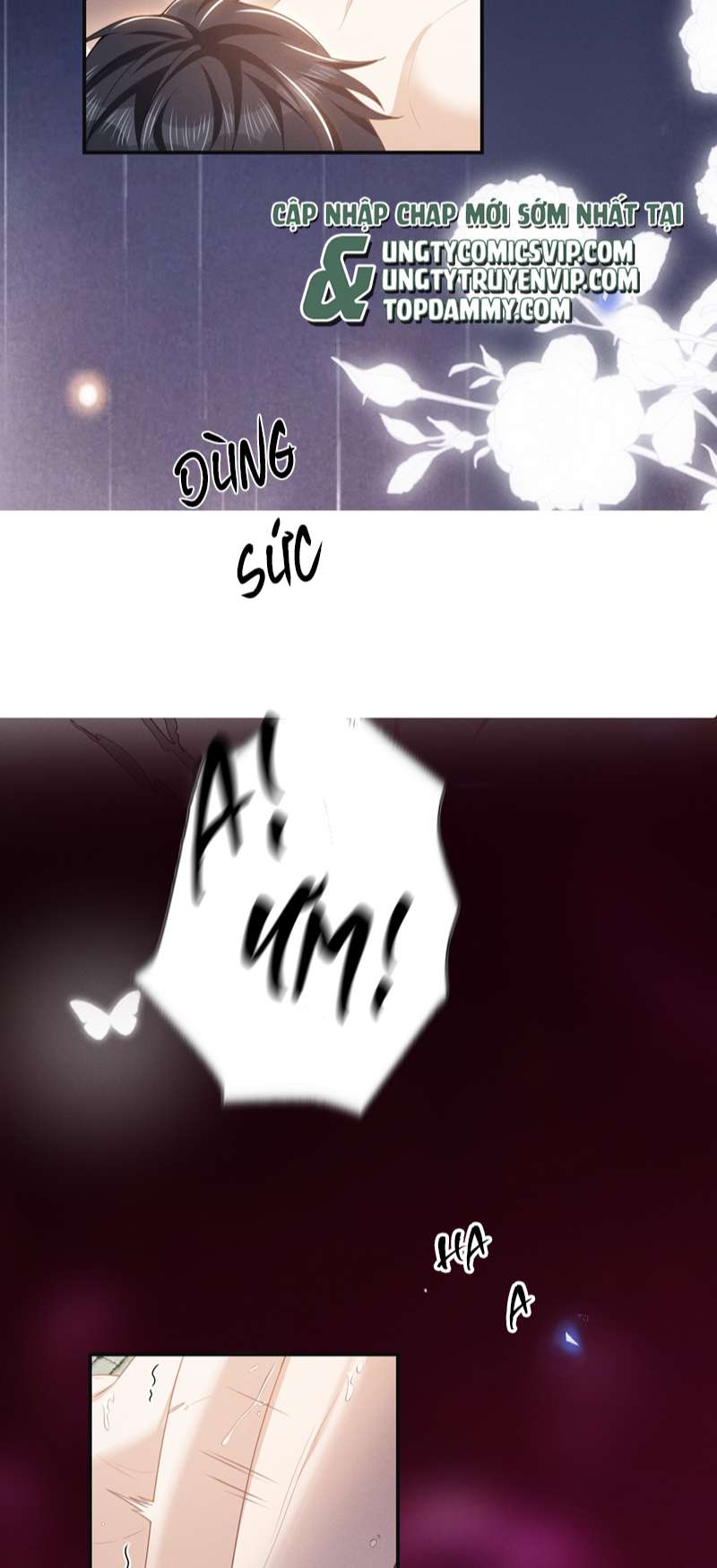 Lai Sinh Bất Kiến Chapter 102 - Trang 2