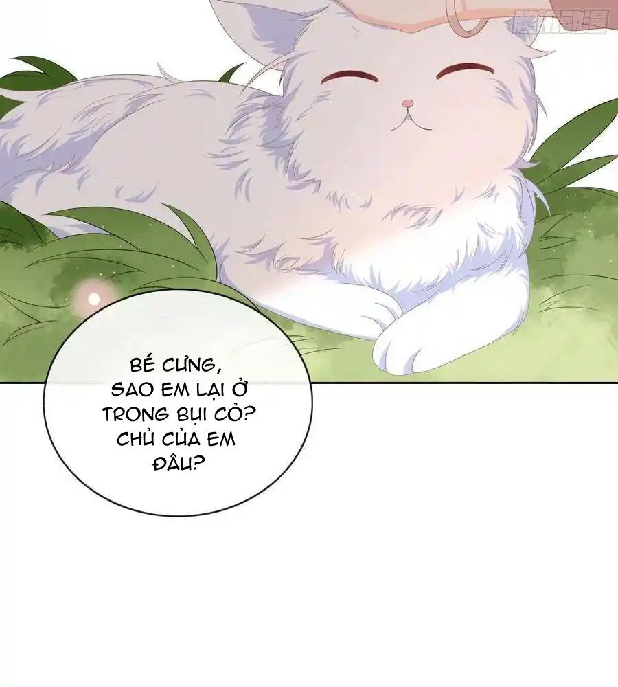 Làm Ảnh Hậu Không Bằng Học Thanh Hoa Chapter 12 - Trang 2
