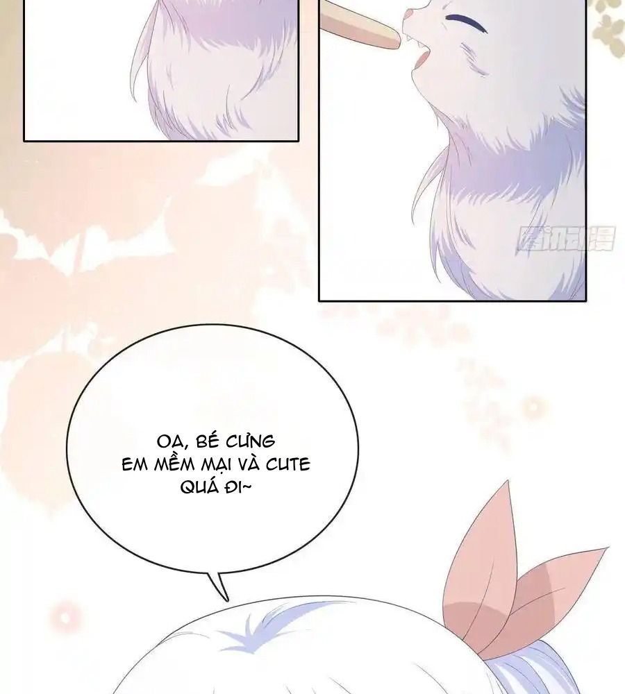 Làm Ảnh Hậu Không Bằng Học Thanh Hoa Chapter 12 - Trang 2