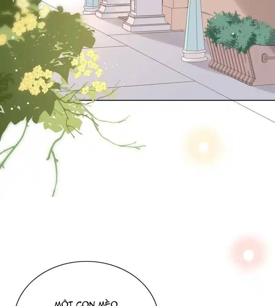 Làm Ảnh Hậu Không Bằng Học Thanh Hoa Chapter 14 - Trang 2