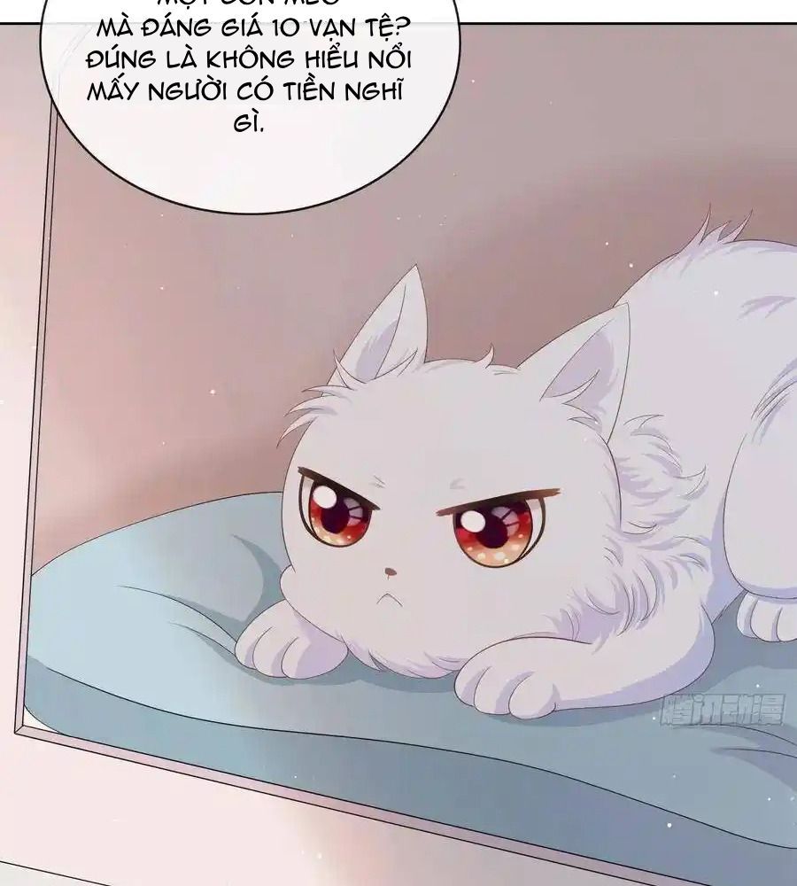 Làm Ảnh Hậu Không Bằng Học Thanh Hoa Chapter 14 - Trang 2