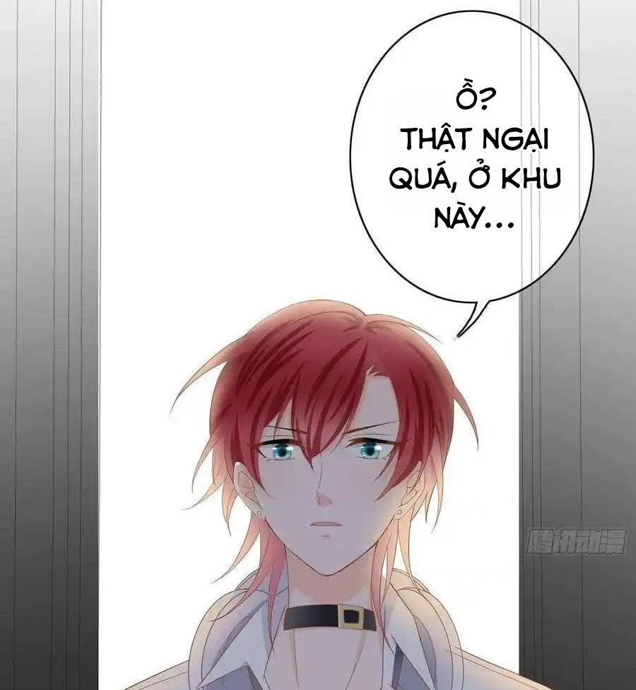 Làm Ảnh Hậu Không Bằng Học Thanh Hoa Chapter 4 - Trang 2