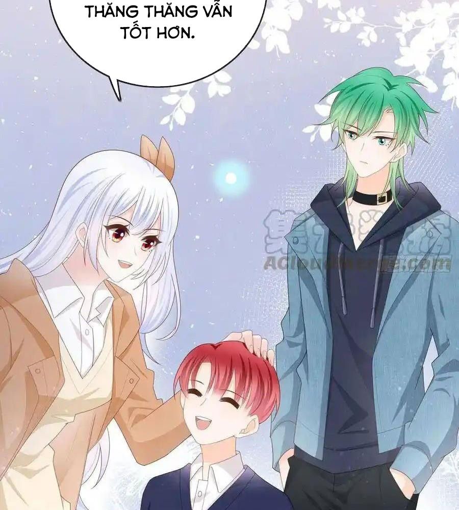 Làm Ảnh Hậu Không Bằng Học Thanh Hoa Chapter 52 - Trang 2