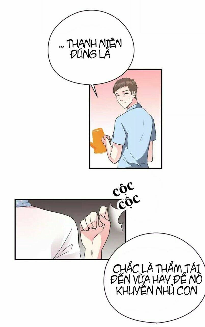 Lam Kiều Mấy Cố Chapter 21 - Trang 2