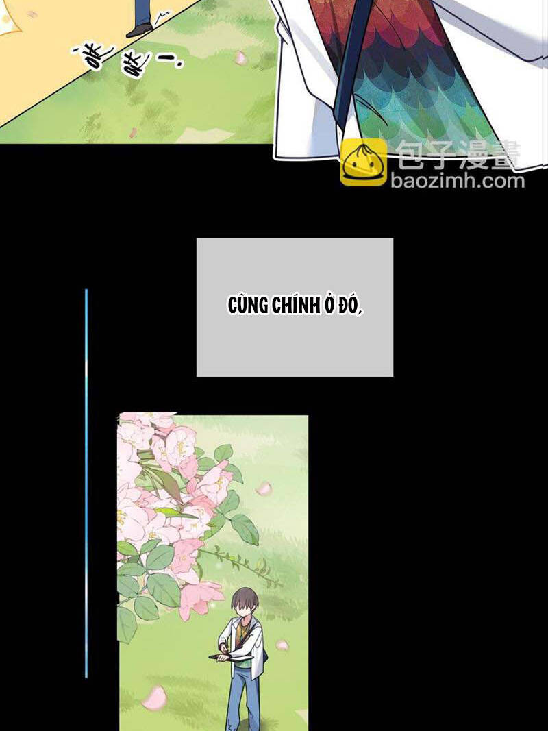 Làm Sao Để Chạy Trốn Dàn Hậu Cung Chapter 104 - Trang 2