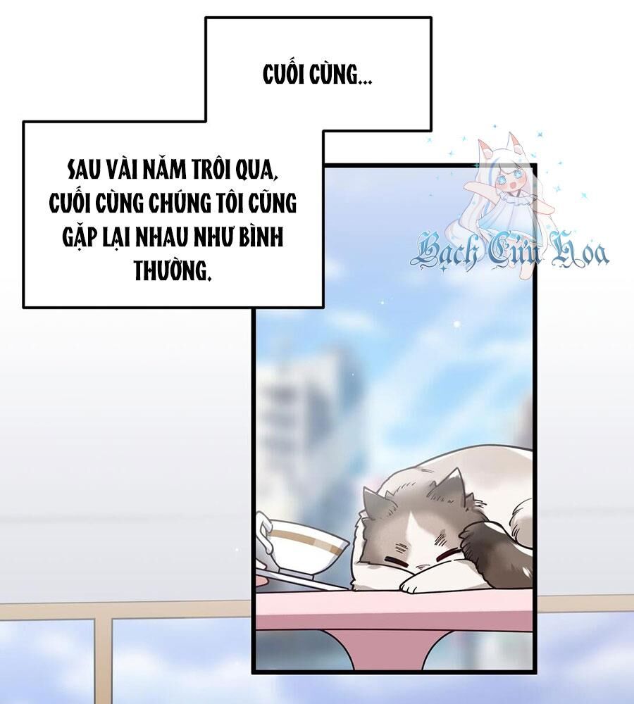 Làm Sao Để Chạy Trốn Dàn Hậu Cung Chapter 124 - Trang 2