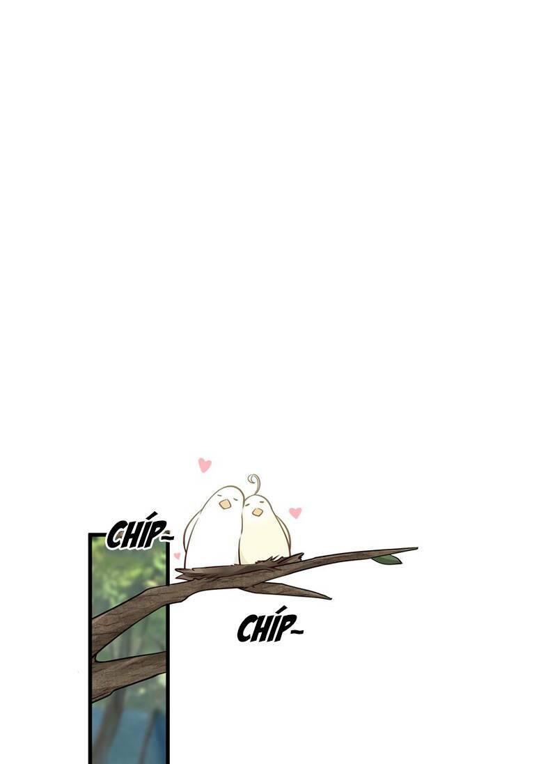 Làm Sao Để Chạy Trốn Dàn Hậu Cung Chapter 13 - Trang 2