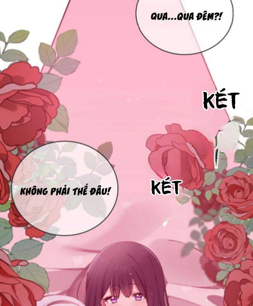 Làm Sao Để Chạy Trốn Dàn Hậu Cung Chapter 60 - Trang 2