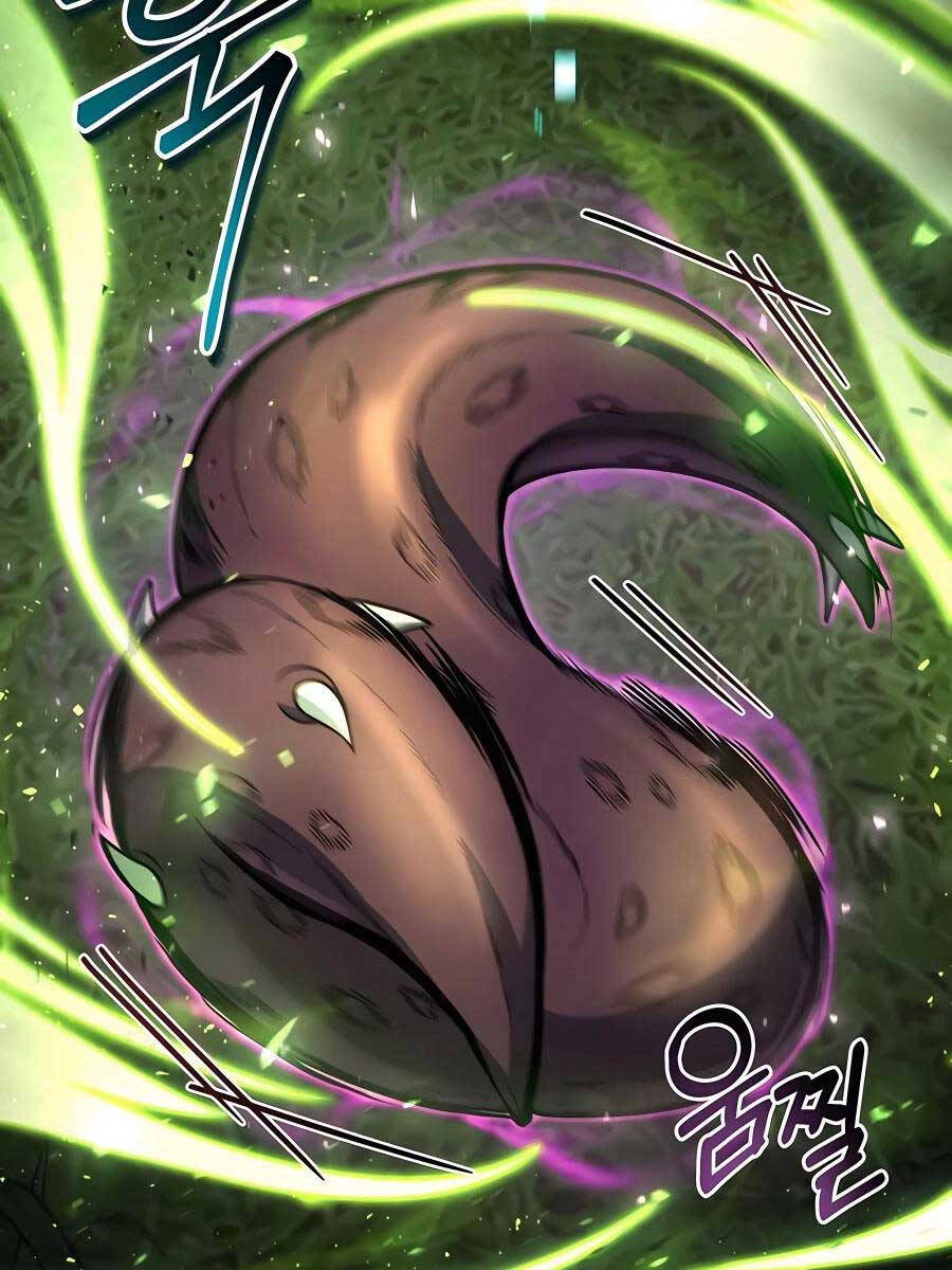 Làm Sao Sống Như Một Trị Liệu Sư Ngầm Chapter 12 - Trang 2