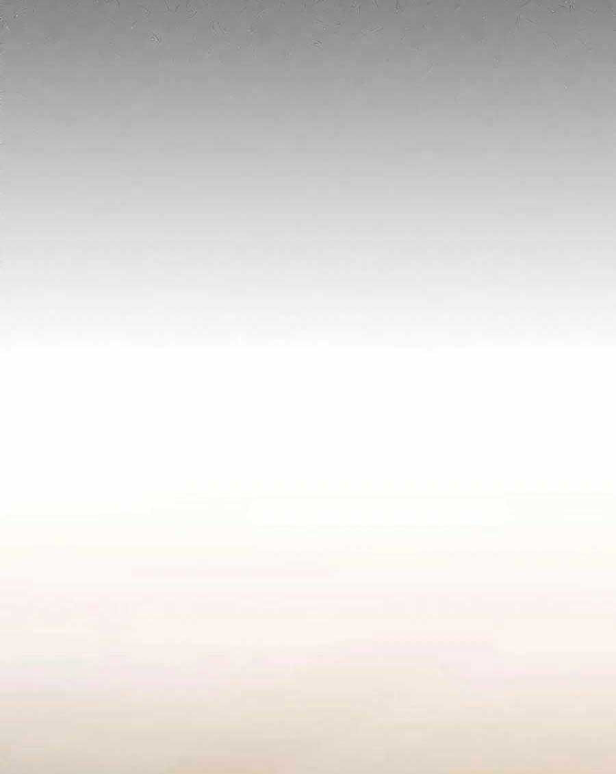 Làm Sao Sống Như Một Trị Liệu Sư Ngầm Chapter 2 - Trang 2