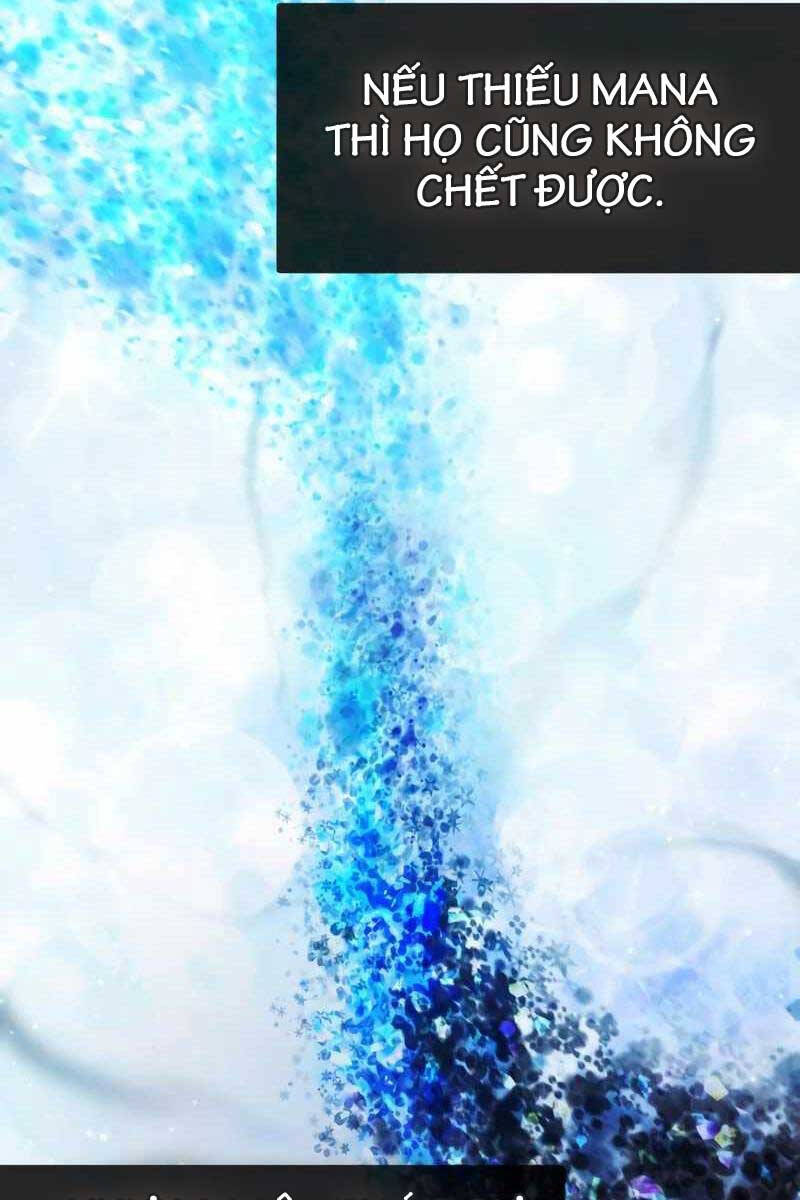 Làm Sao Sống Như Một Trị Liệu Sư Ngầm Chapter 27 - Trang 2