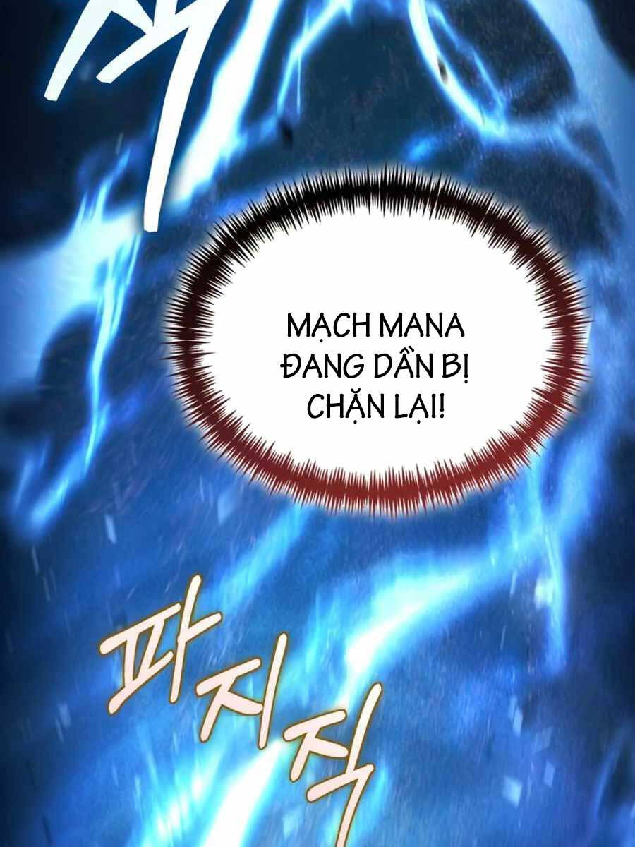 Làm Sao Sống Như Một Trị Liệu Sư Ngầm Chapter 29 - Trang 2