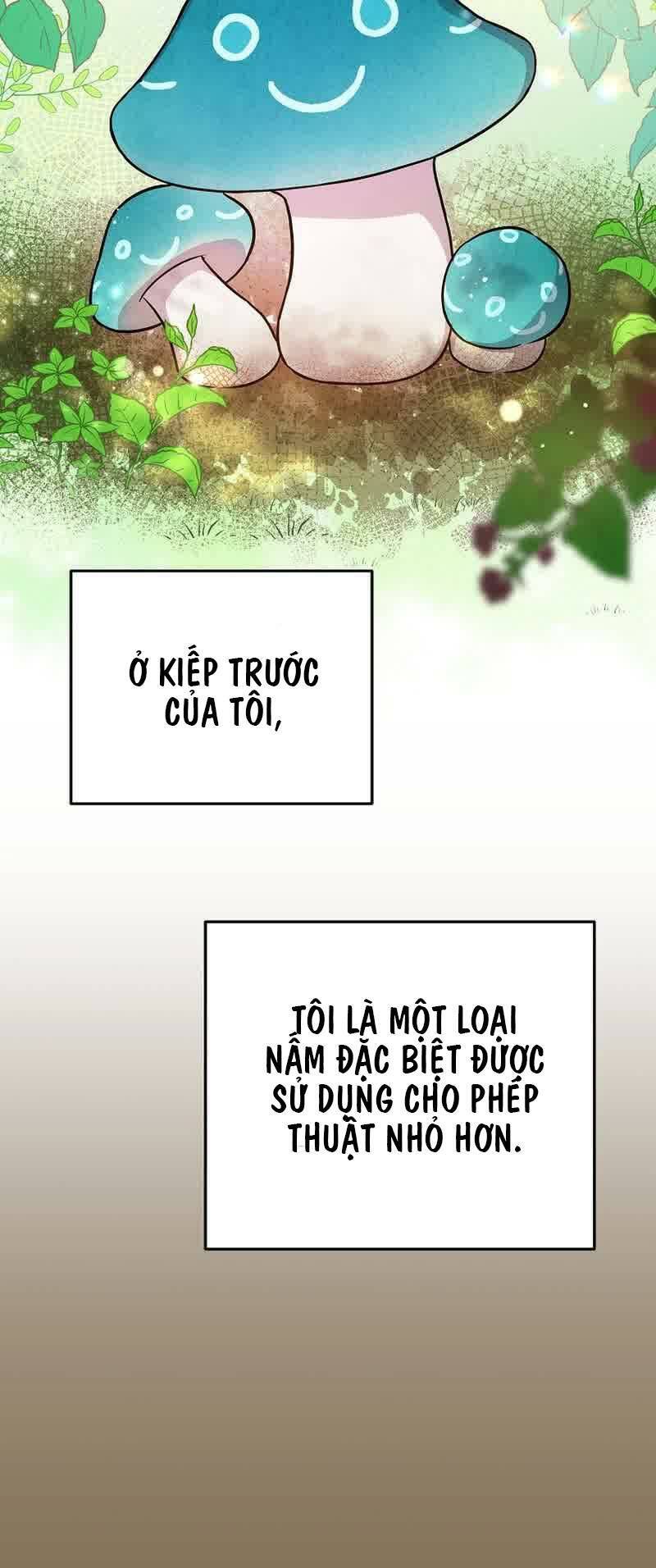 Làm Siêu Sao Từ 0 Tuổi Chapter 16 - Trang 2