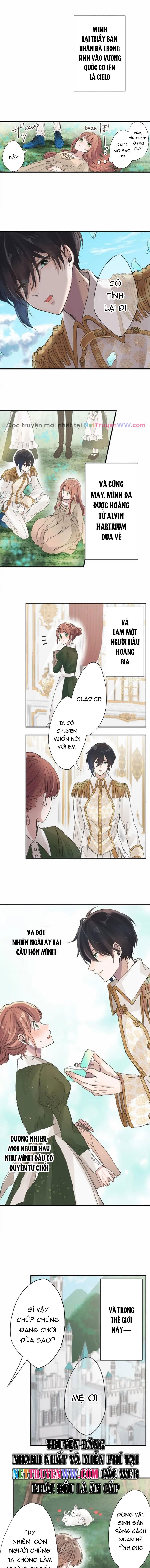Làm Tình Trong Một Thế Giới Mà Điều Đó Là Điều Cấm Kỵ Chapter 1 - Trang 2