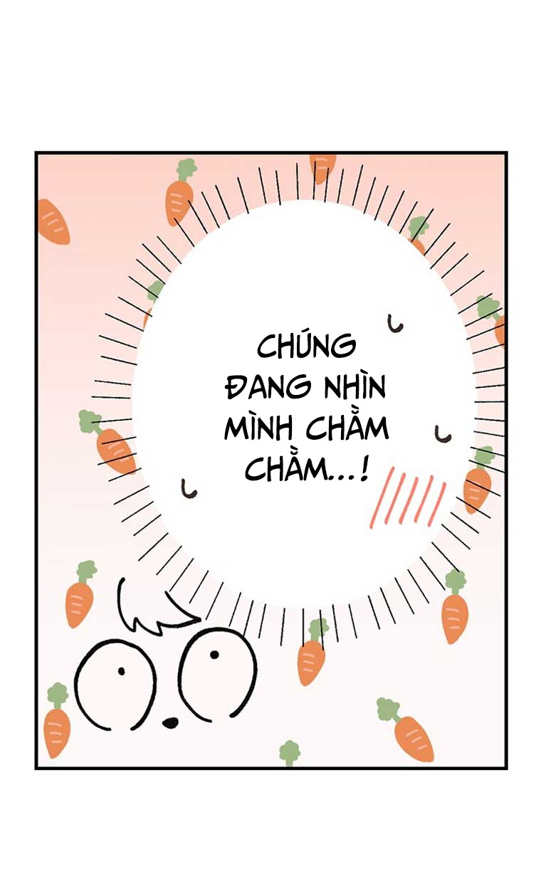 Làm Tình Trong Một Thế Giới Mà Điều Đó Là Điều Cấm Kỵ Chapter 40 - Trang 2