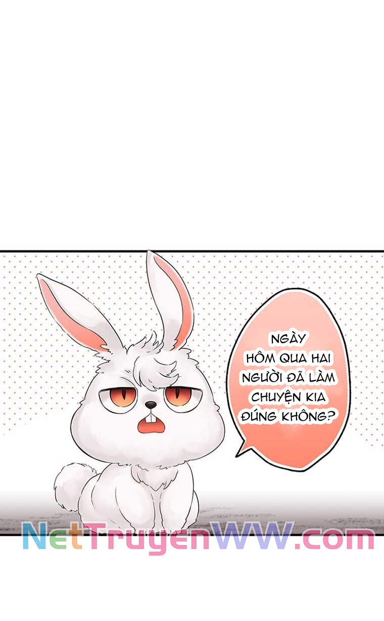 Làm Tình Trong Một Thế Giới Mà Điều Đó Là Điều Cấm Kỵ Chapter 41 - Trang 2