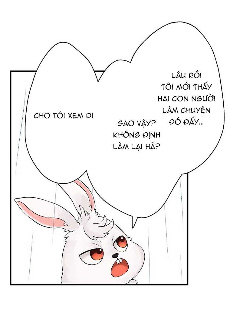Làm Tình Trong Một Thế Giới Mà Điều Đó Là Điều Cấm Kỵ Chapter 41 - Trang 2