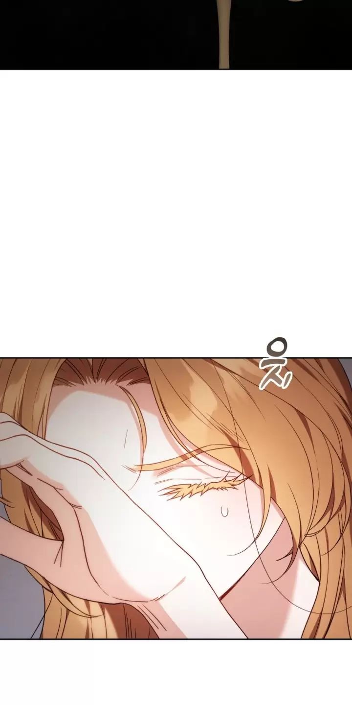 Lần Này Tôi Sẽ Sinh Con Với Người Đàn Ông Khác Chapter 2 - Trang 2