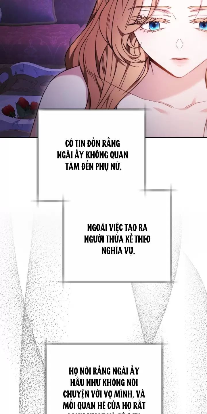 Lần Này Tôi Sẽ Sinh Con Với Người Đàn Ông Khác Chapter 2 - Trang 2