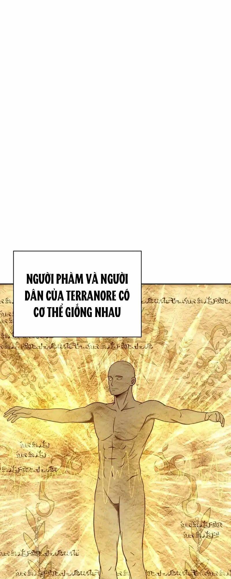 Lần Nữa Chuyển Sinh Sang Thế Giới Khác Chapter 11 - Trang 2