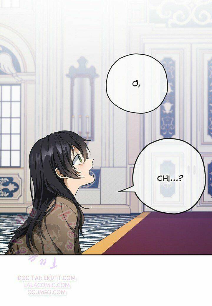 Lần Nữa Toả Sáng Chapter 2 - Trang 2