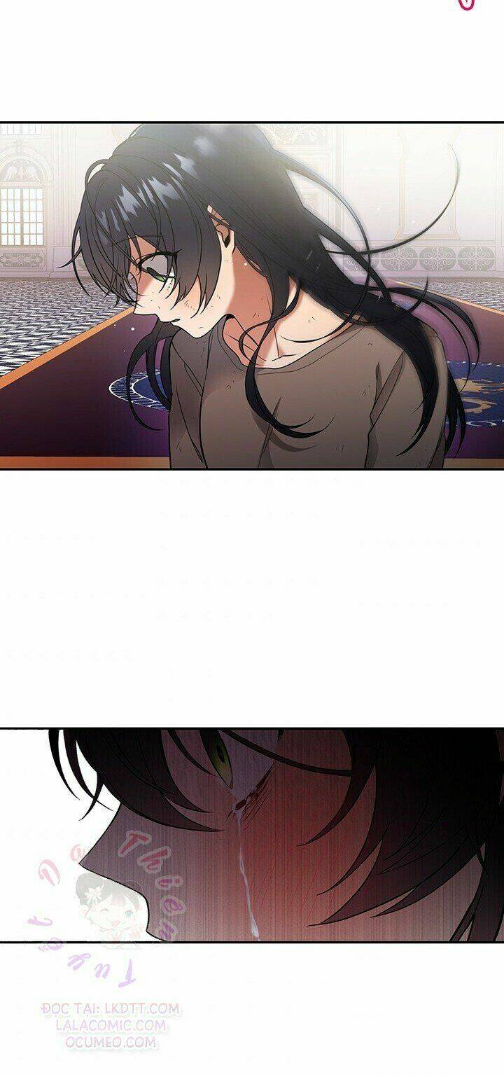 Lần Nữa Toả Sáng Chapter 2 - Trang 2