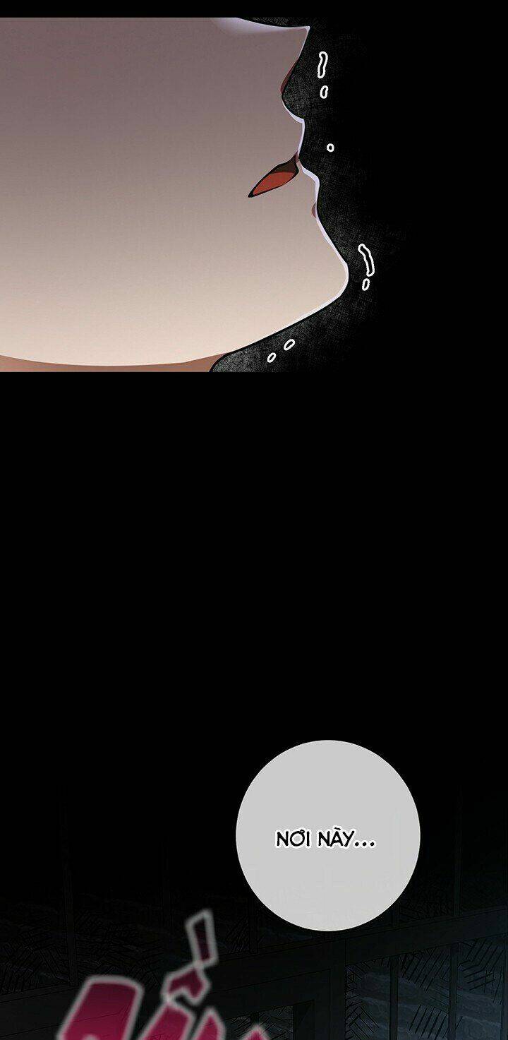 Lần Nữa Toả Sáng Chapter 20 - Trang 2