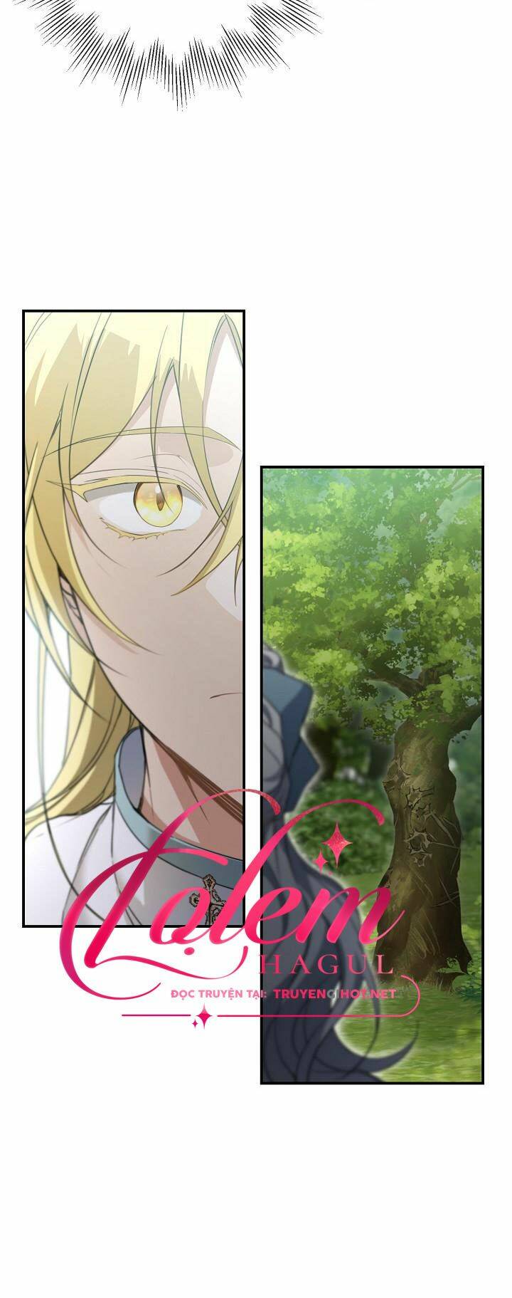 Lần Nữa Toả Sáng Chapter 62 - Trang 2